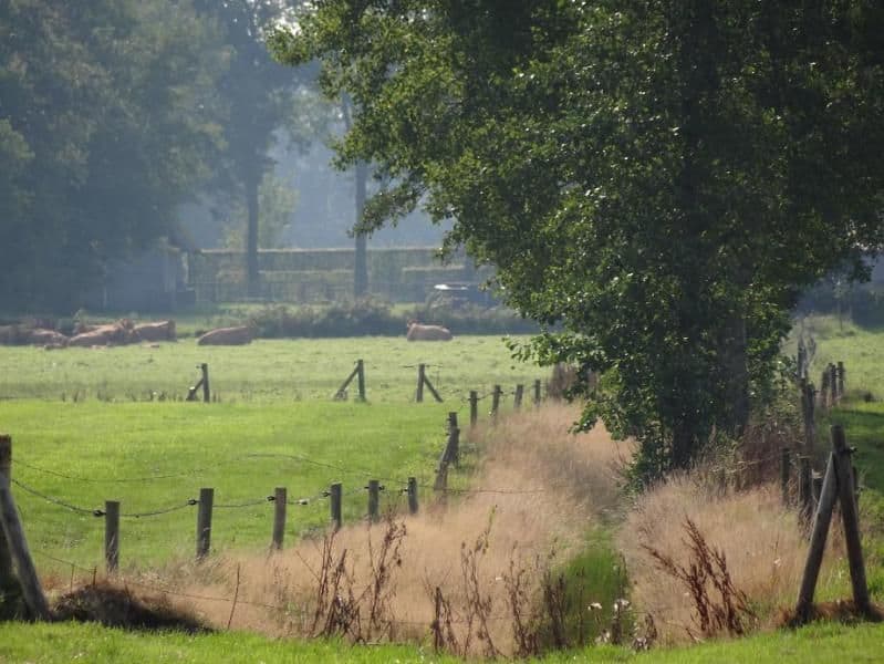 Klik op de foto voor meer info