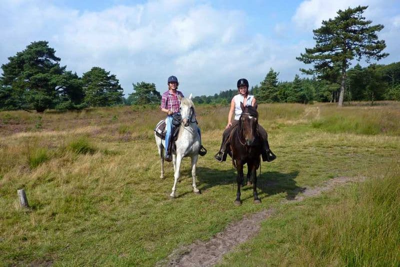 Doe Wittelte te paard.