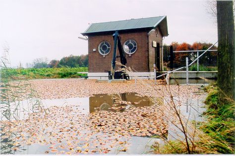 Gemaaltje De Kievit (gemeentelijk monument) in Tollebeek