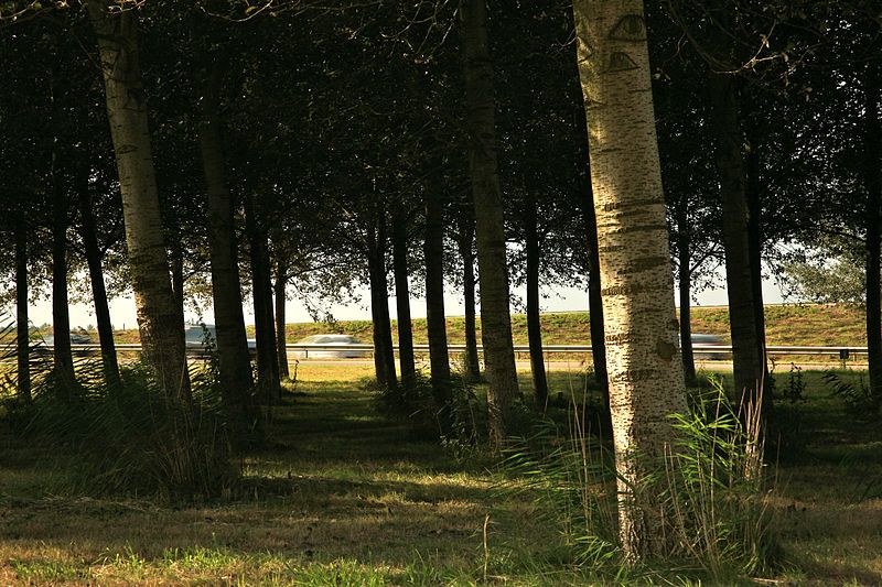 Rijksmonument in de Flevopolder, A27/Vogelweg, Zeewolde