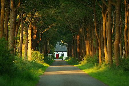 Prachtig doorkijkje in Haskerhorne