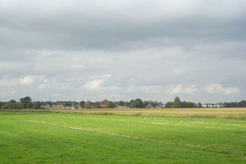 Nijehaske op afstand