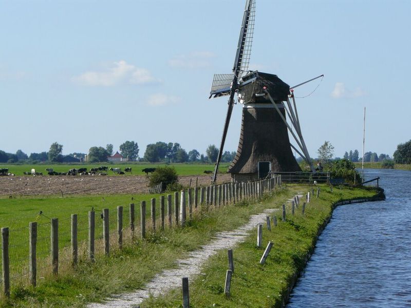 De molen in Scharsterbrug