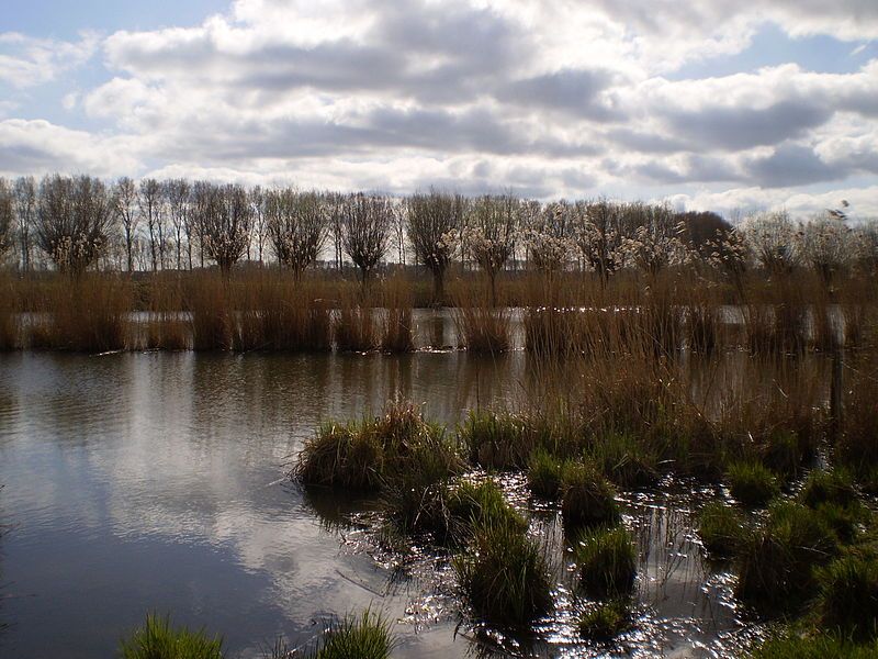 De IJssel nabij Zutphen