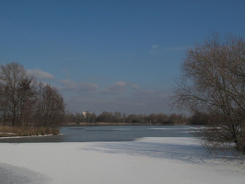 Rijkewoerdseplassen