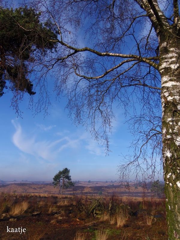 Rozendaalseveld-foto_Kaatje.Jansen