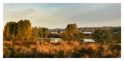 De uiterwaarden bij Beuningen