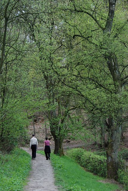 Wandelen in en om Ubbergen