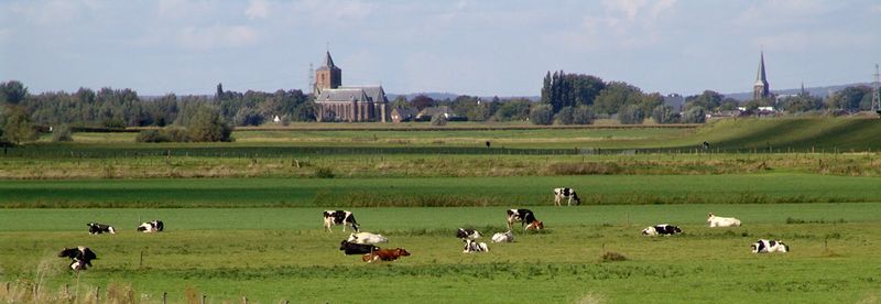 Skyline Zevenaar