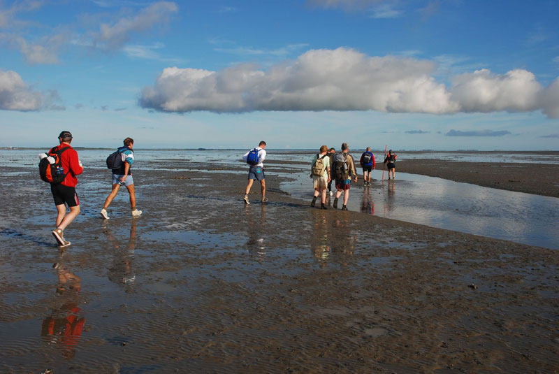 Wadlopen vanuit Pieterburen 