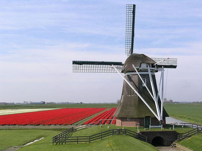 Poldermolen De Goliath in Uithuizermeeden