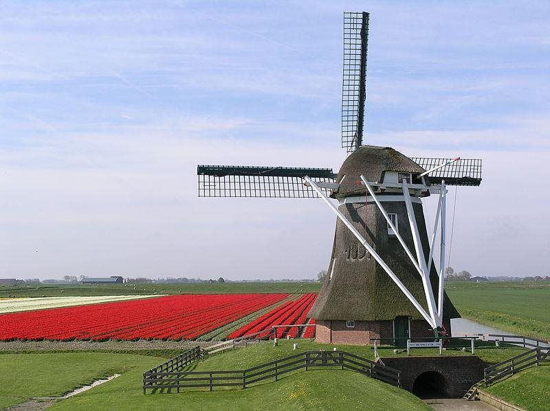 Poldermolen De Goliath in Uithuizermeeden