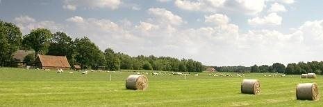 Sfeerfoto omgeving Vlasgtwedde - foto: onbekend