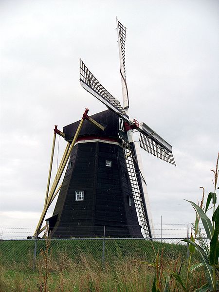 Molen De Grauwe Beer in Beesel