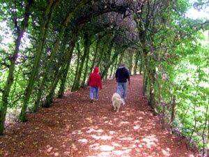 Nattenhoven. Bron: Wandelgids Z.L.