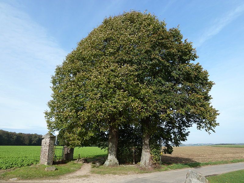 Een wegkruis bij Berghof