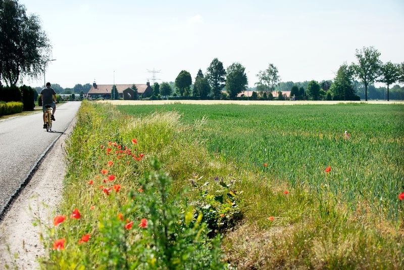 Omgeving Egchel. Bron-klik op de foto.