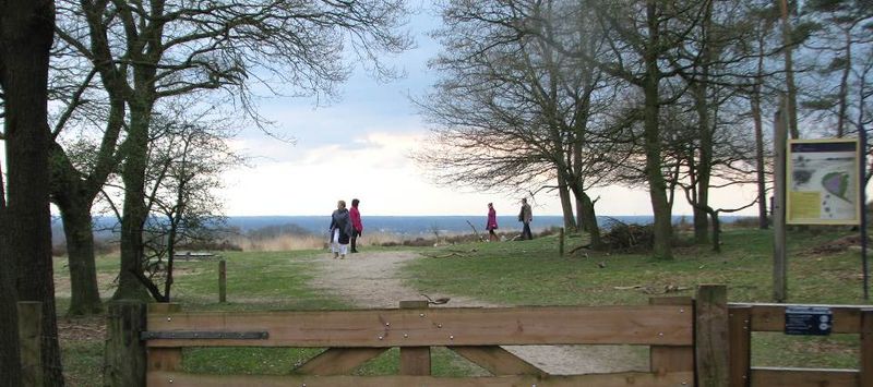 Wandelen op de Mookerhei