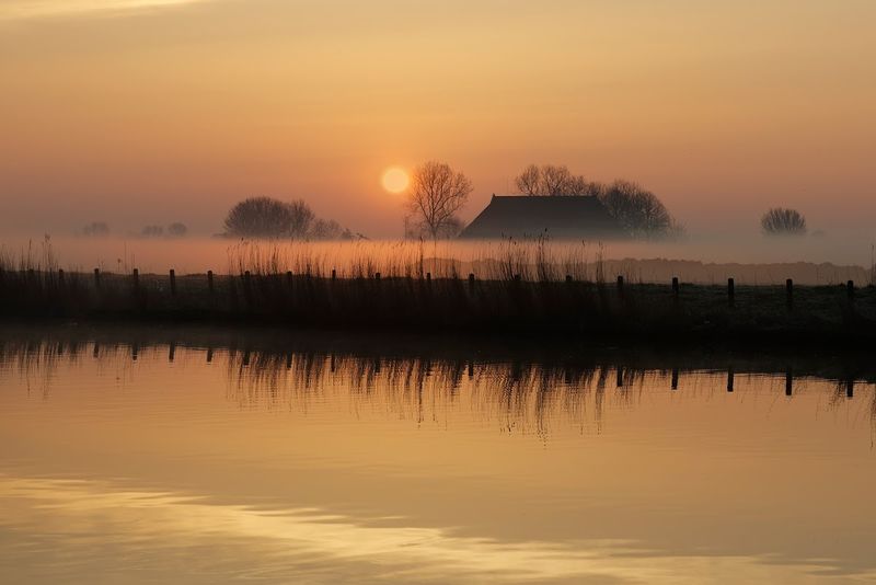 Ochtendmist. Foto: Coen Waltmans