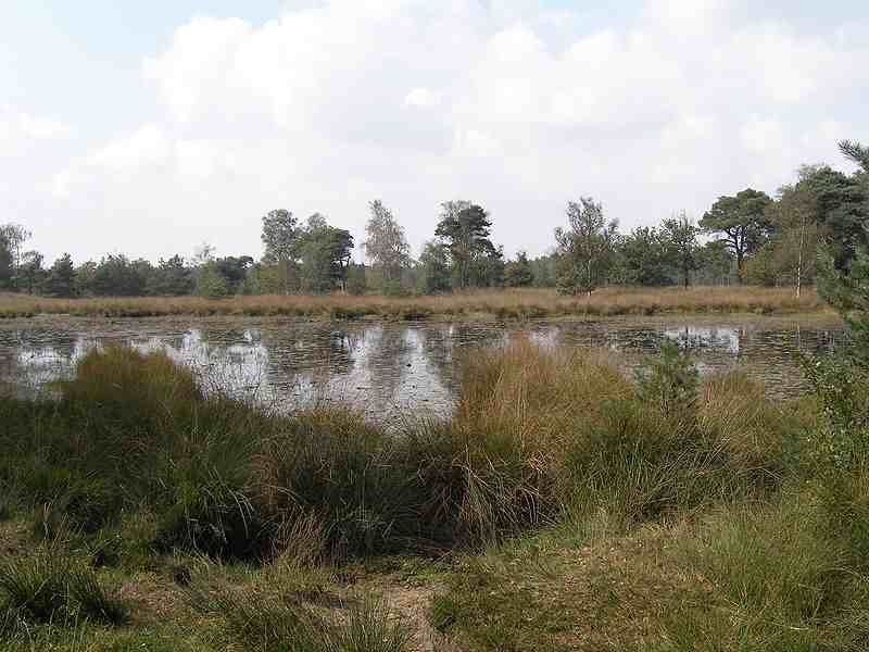 Natuurgebied met ven bij Boxtel