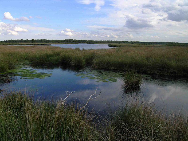 Asten is gelegen in het natuurgebied De Grote Peel 