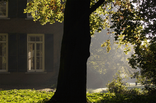 Lichtspel in het bos bij Geldrop.  herkomst foto: onbekend