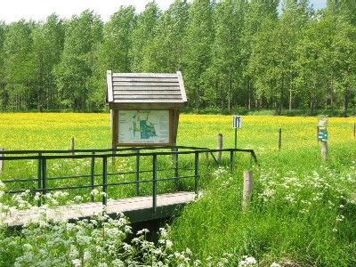 Natuurgebied Het Pompveld te Babyloniënbroek