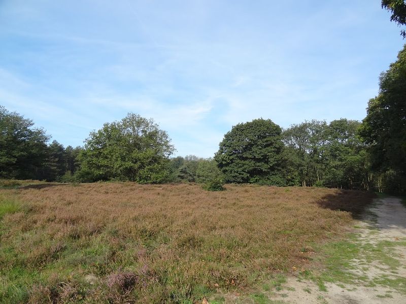 Overloonsche Duinen