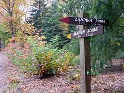 Wandelroutes in het Zandbos