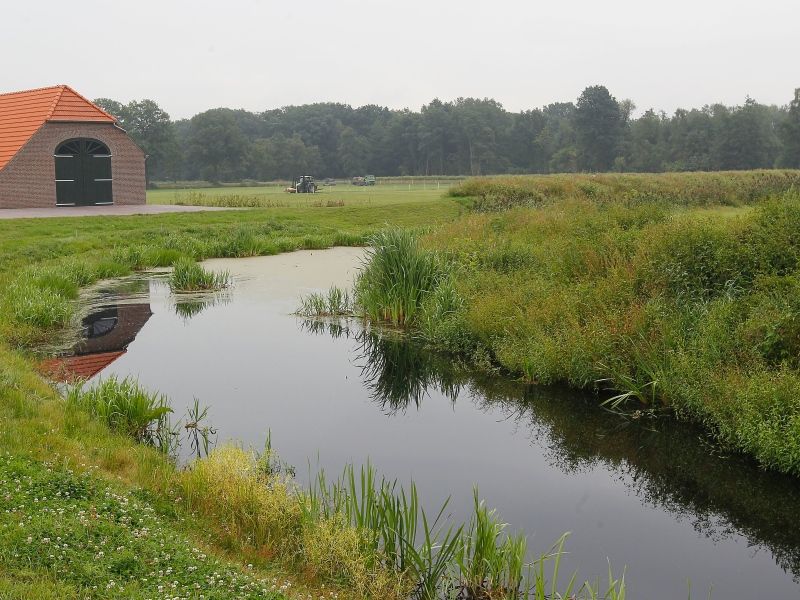 Natuurgebied nabij Helenaveen.