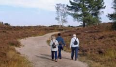 Wandelroutes in Brabant