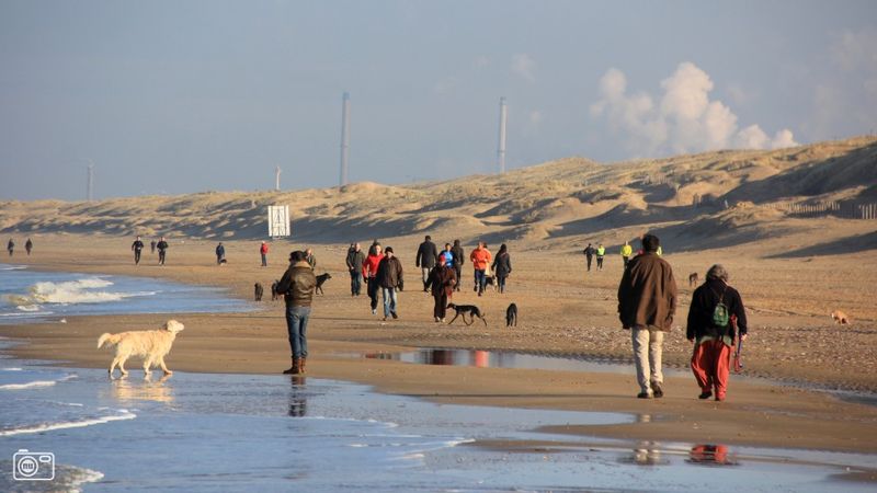 Heerlijk wandelen op het strand