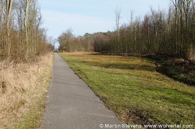 De Dennen in Westrermient