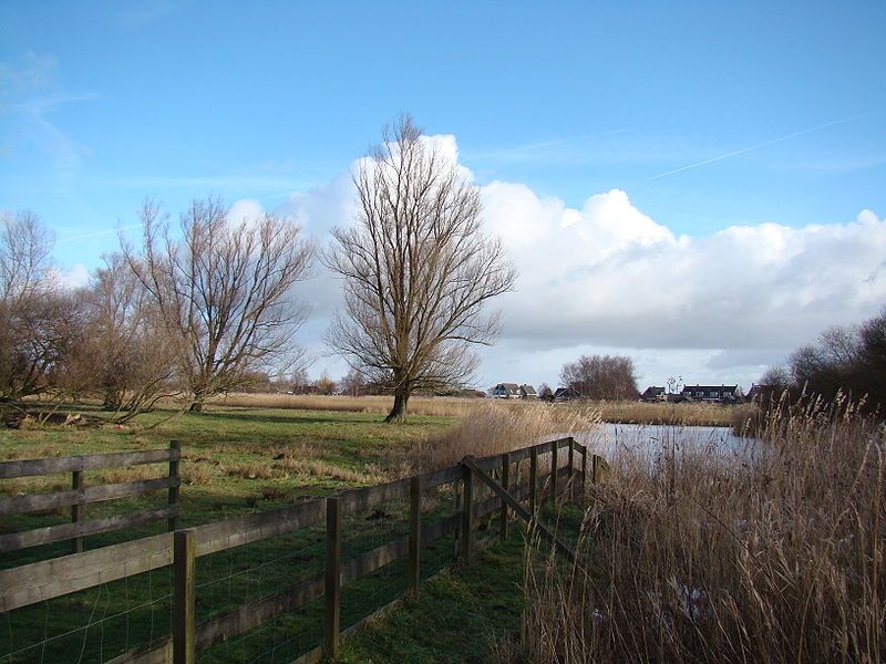 Natuur in de omgeving van Den Ilp