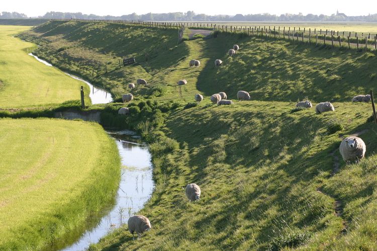 De Omringdijk in de gemeente Scvhagen.