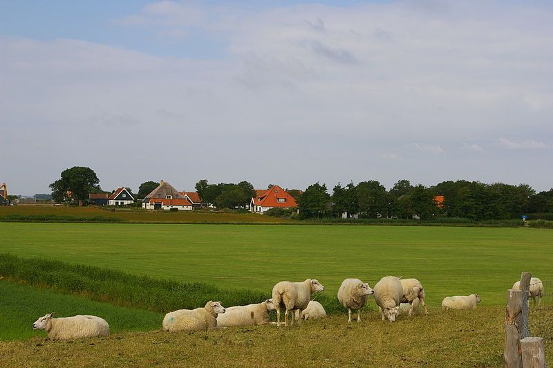 Gezicht op Oost