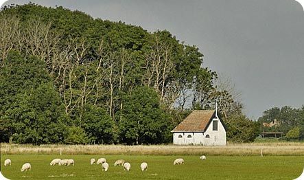 Eendenkooi de Spang (foto Natuurmonumenten, Texel)