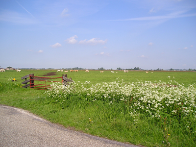 Omgeving van de jachthaven