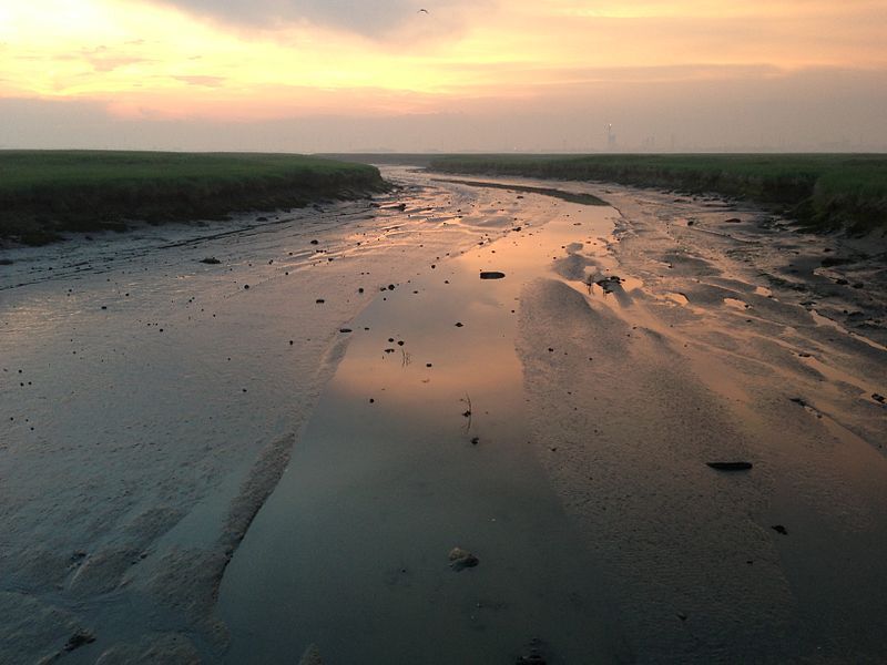 Natuurgebied "Verdronken land van Saeftinghe"