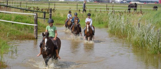 Hippische aktiviteiten in Westdorpe