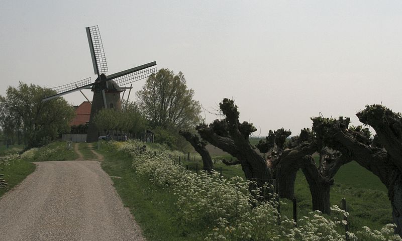 Molen Landzigt. in Wissenkerke