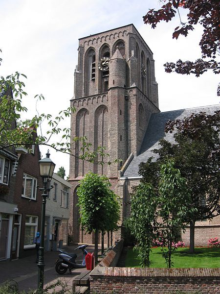 De Lierse Domtoren