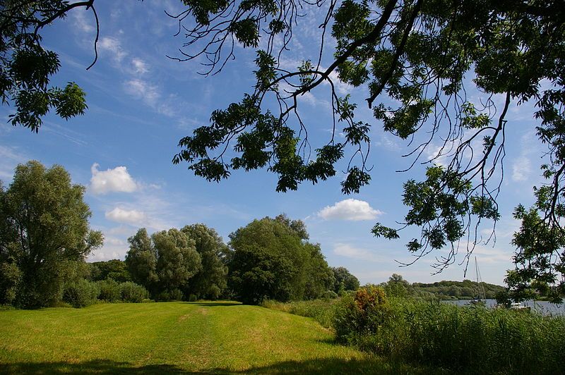 De Avelingen - natuurgebied in de omgeving gorinchem