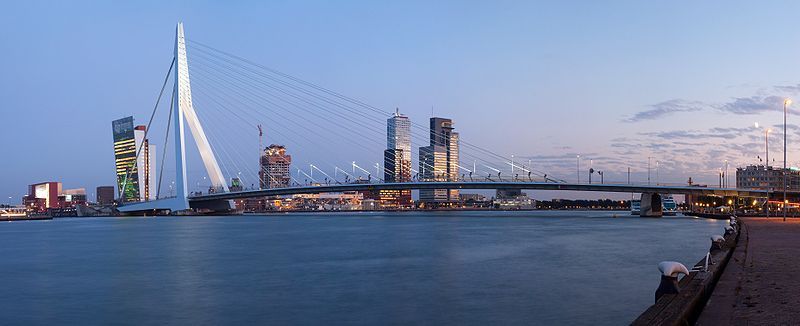 De Erasmusbrug in Rotterdam