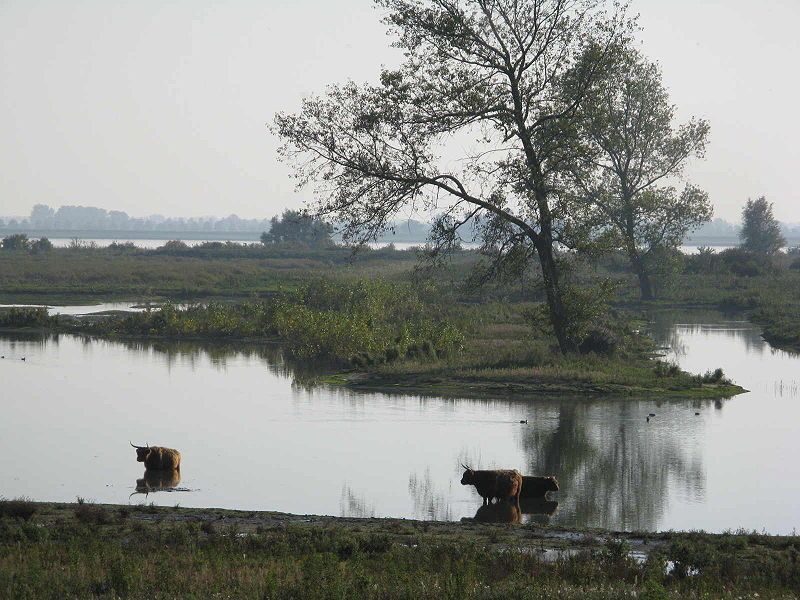 Het mooie landschap nabij Tiengemeten