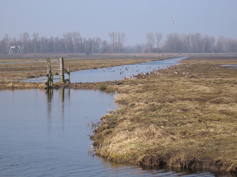 Vogelparadijs