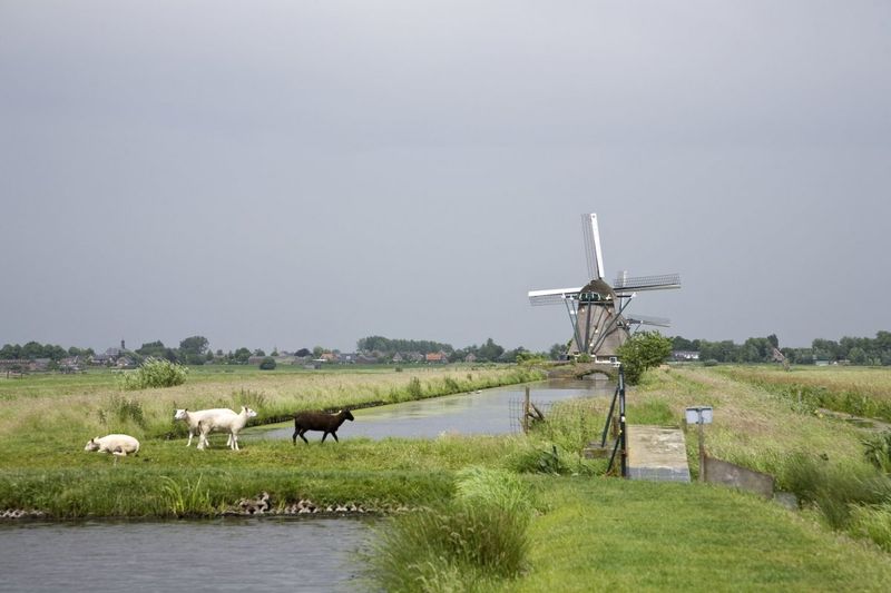 Molen no.1 in Aarlanderveen