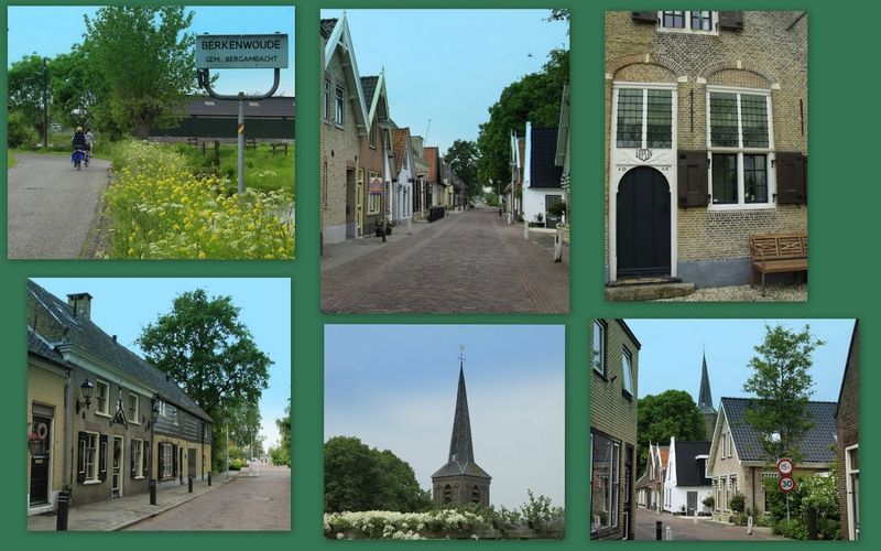 Berkenwoude in beeld - Foto: Jan Dijkstra