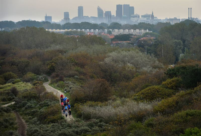 Wandelen aan de rand van de stad in de duinen.