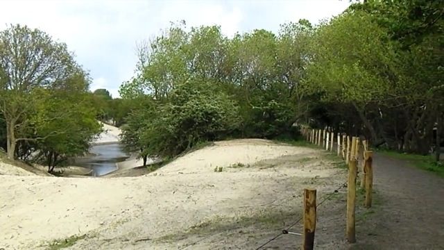 Duinlandschap o.a. bij Kijkduin.